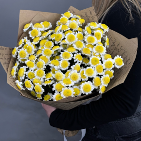 Букет "Моё солнышко" из 11 хризантем сантини  в Люберцах