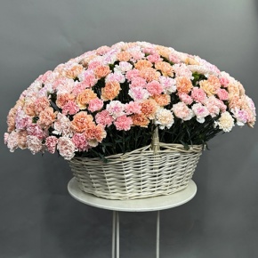 Композиция в корзине из 251 диантуса микс в Люберцах