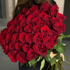 Букет 51 роза Эквадор Эксплорер (60 см) в Люберцах