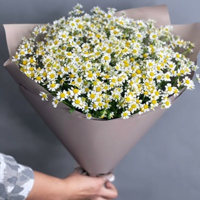 Букет из 17 ромашек танацетум в Люберцах