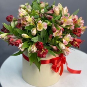 Композиция в шляпной коробке из 21 альстромерии в Люберцах