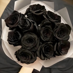 Букет "Черная королева" из 11 черных роз Эквадор (60 см) в Люберцах