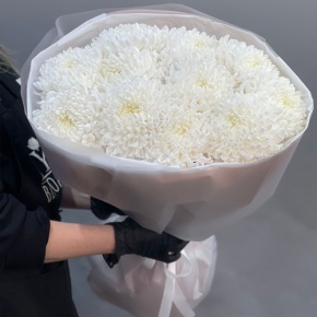 Букет из 11 белых хризантем  в Люберцах