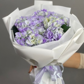 Букет из 5 фиолетовых гортензий в Люберцах