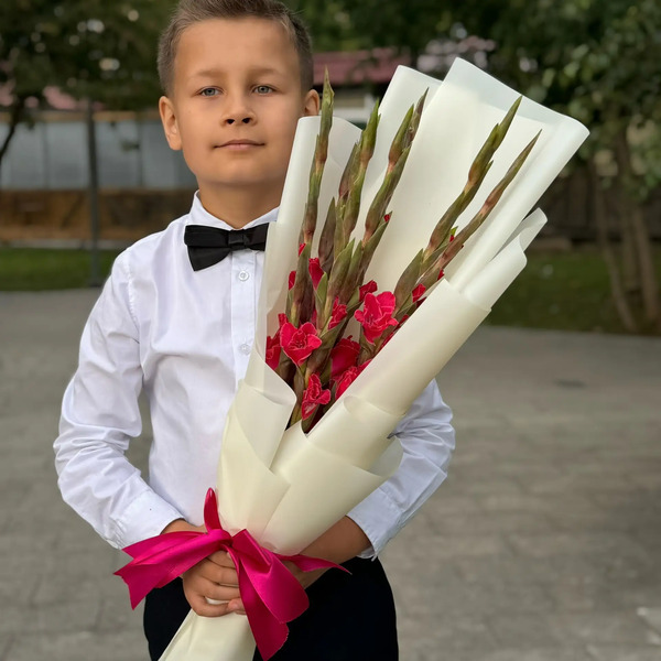 Букет на 1 сентября из 7 малиновых гладиолусов в Люберцах