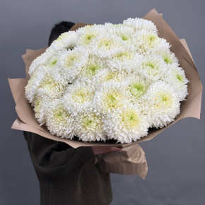 Букет из 27 хризантем Магнум в Люберцах