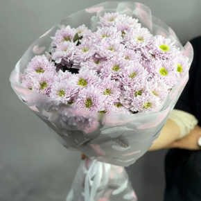 Букет "Нежный комплимент" из 9 кустовых хризантем в Люберцах