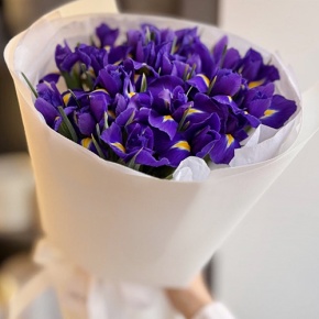 Букет из 21 ириса в Люберцах