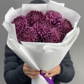 Букет "Винная легенда" из 7 хризантем Бигоуди в Люберцах