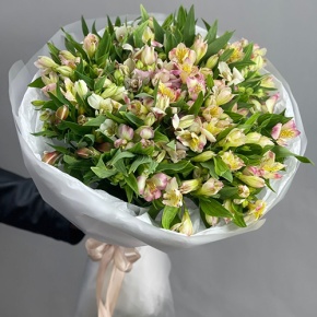 Букет "Зарина" из 37 альстромерий микс в Люберцах