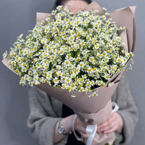 Букет из 17 полевых ромашек в Люберцах