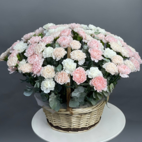 Композиция в корзине из 101 диантуса микс в Люберцах