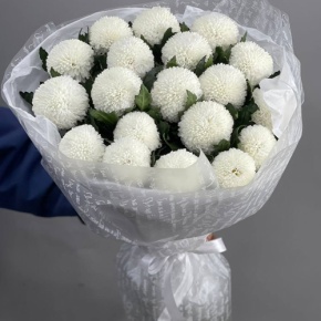 Букет "Сливки" из 19 хризантем Момоко в Люберцах