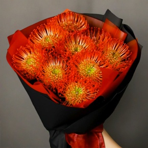 Букет из 9 лейко в Люберцах