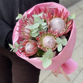 Букет из 5 протей и эвкалипта в Люберцах
