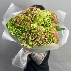 Букет из 5 голландских гортензий в Люберцах