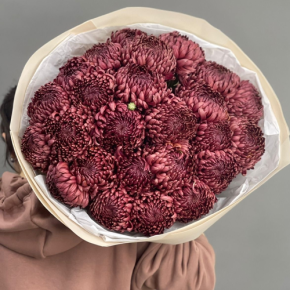 Букет 21 шоколадной хризантемы Бигоуди в Люберцах