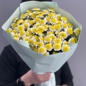 Букет "Моё солнышко" из 17 хризантем сантини  в Люберцах