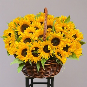 Композиция в корзине из 51 подсолнуха в Люберцах