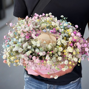 Композиция в коробке сердца из радужных гипсофил с топпером в Люберцах