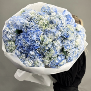 Букет из 23 синих гортензий в Люберцах