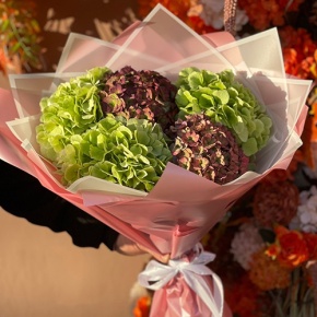 Букет из Голландских гортензий микс в Люберцах