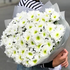 Букет "Лаймовый" из 15 кустовых хризантем в Люберцах