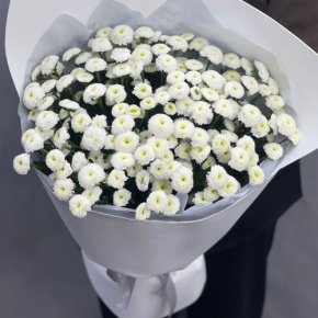 Букет "Белая дымка" из 25 хризантем сантини в Люберцах