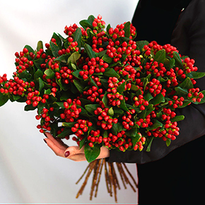 Букет из гиперикума в Люберцах