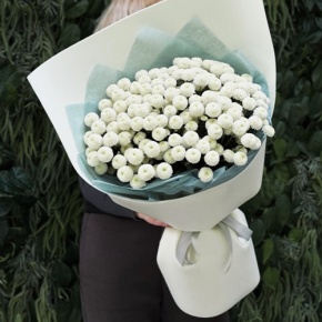 Букет из 25 хризантем Ньютон в Люберцах