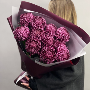 Букет "Изобилие" из 11 винных хризантем Бигоуди в Люберцах