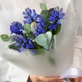 Букет "Мини" из 5 ароматных гиацинтов и эвкалипта в Люберцах