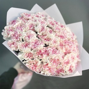 Букет 51 нежный диантус в Люберцах