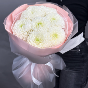 Нежный букет из 7 хризантем Магнум в Люберцах