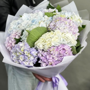 Букет из 9 Голландских гортензий микс в Люберцах