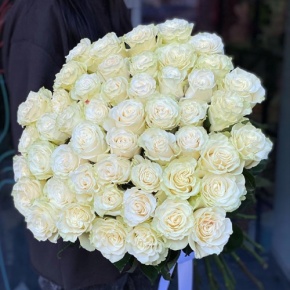 Букет из 51 розы Эквадор Мондиаль под ленту (80 см) в Люберцах