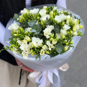 Букет из 51 белой фрезии в Люберцах