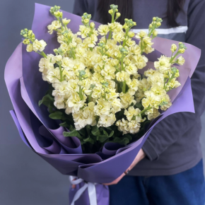 Букет из 15 лимонных маттиол в Люберцах