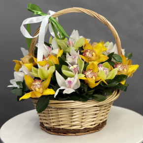 Композиция в корзине из 25 орхидей микс в Люберцах