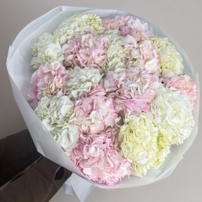Букет из 17 нежных гортензий в Люберцах