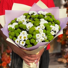 Букет "Сезам" из 21 хризантемы сантини микс в Люберцах