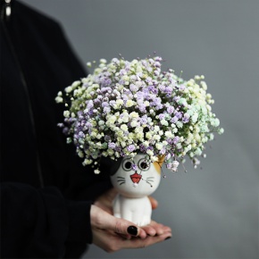 Композиция из гипсофил в керамическом кашпо в Люберцах