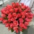 Букет 51 роза коралл (60 см) в Люберцах Букет 51 роза коралл (60 см) в Люберцах