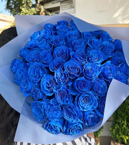 Букет из 51 синей розы Эквадор (60 см) в Люберцах