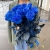 15 синих LUX роз Эквадор (70 см) в Люберцах 15 синих LUX роз Эквадор (70 см) в Люберцах