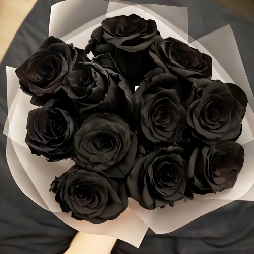 Букет "Черная королева" из 11 черных роз Эквадор (60 см) в Люберцах