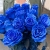 15 синих LUX роз Эквадор (70 см) в Люберцах 15 синих LUX роз Эквадор (70 см) в Люберцах