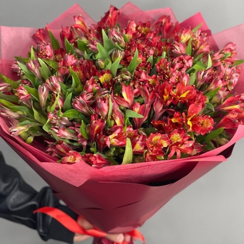 Монобукет из 25 красных альстромерий в Люберцах