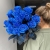 15 синих LUX роз Эквадор (70 см) в Люберцах 15 синих LUX роз Эквадор (70 см) в Люберцах