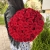 Букет 51 красной розы 50 см в Люберцах Букет 51 красной розы 50 см в Люберцах